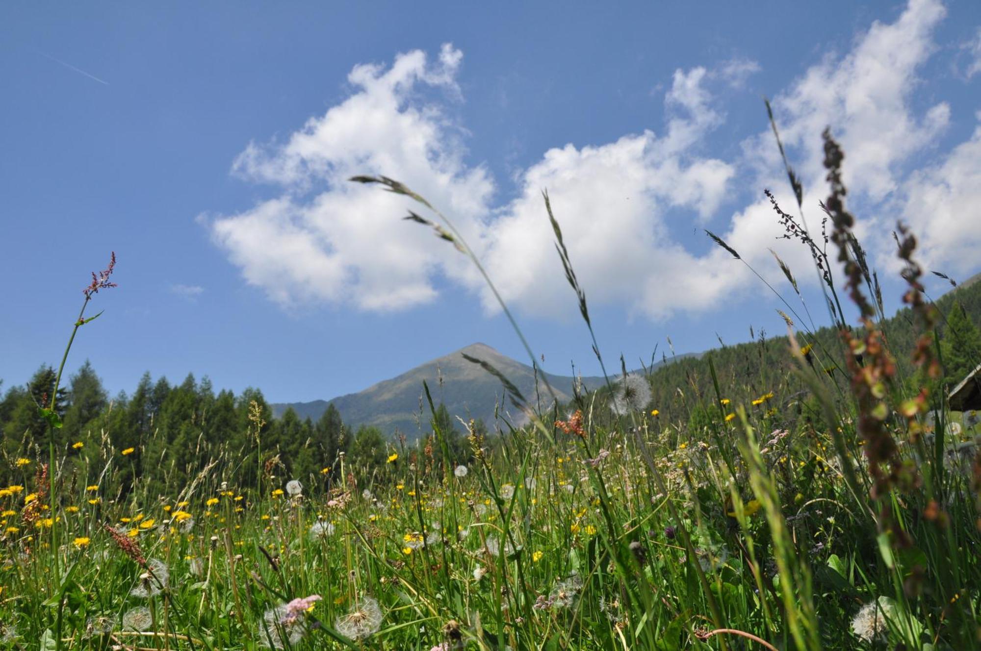 Rifugio Serot Roncegno Εξωτερικό φωτογραφία