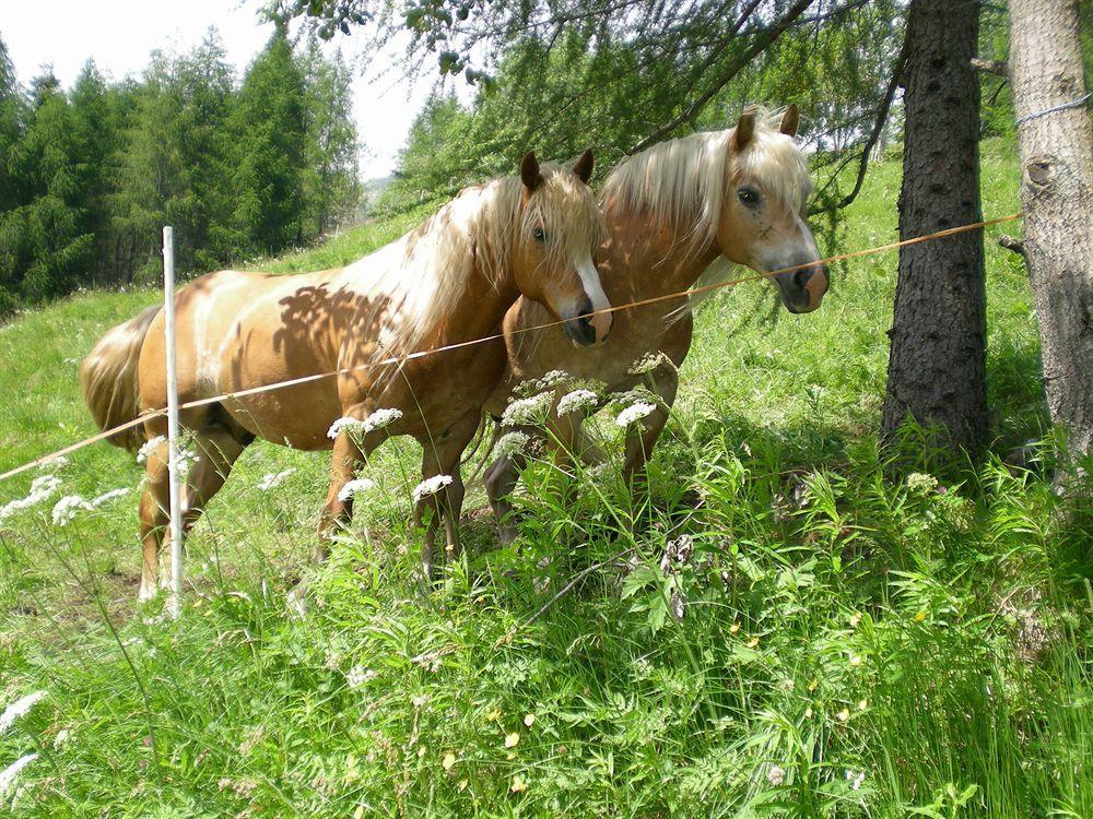 Rifugio Serot Roncegno Εξωτερικό φωτογραφία